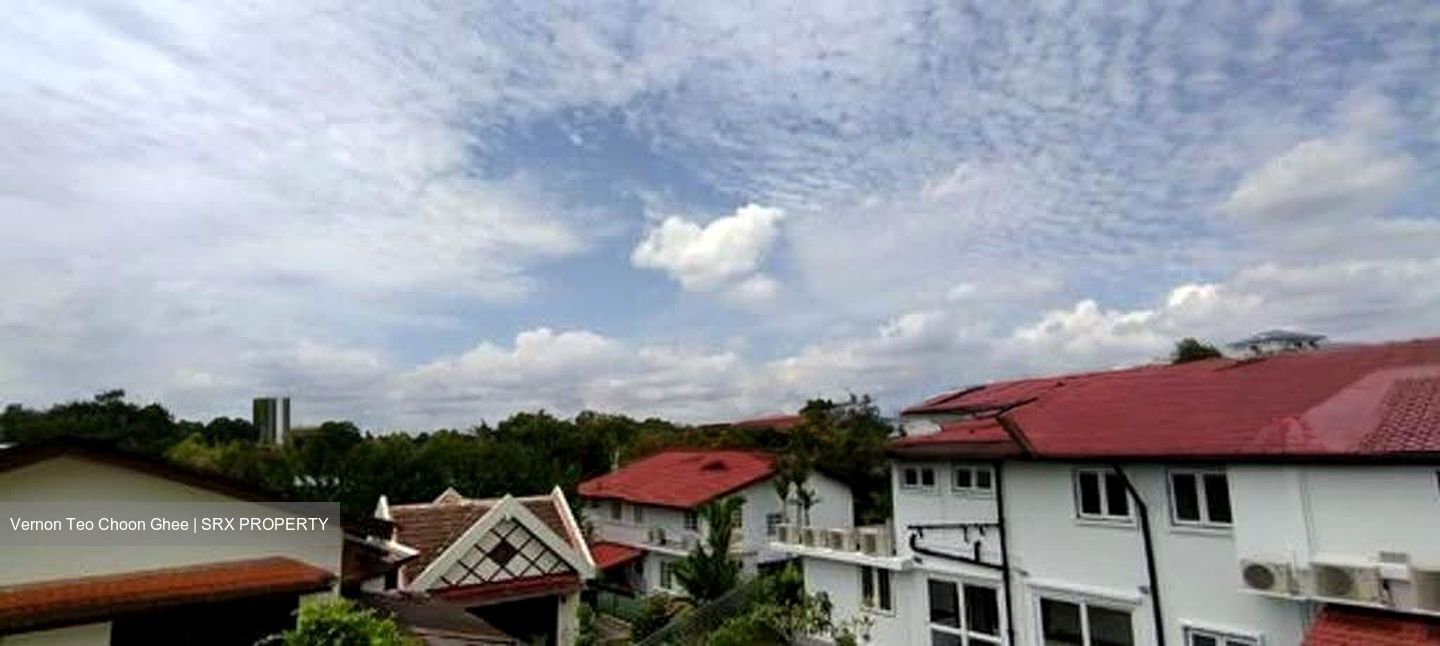Leedon Park (D10), Detached #616734141